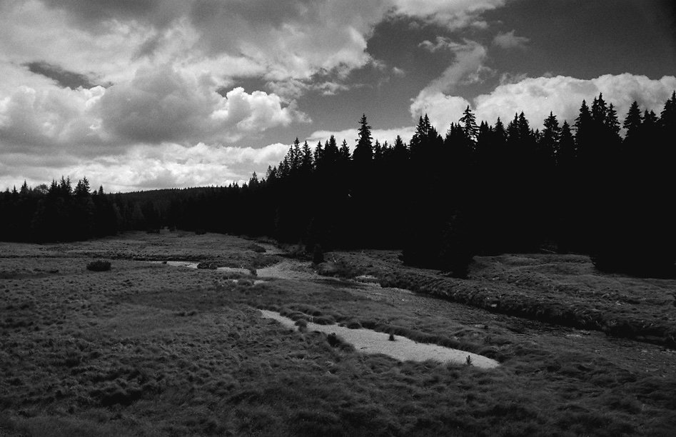 sumava01-1.jpg