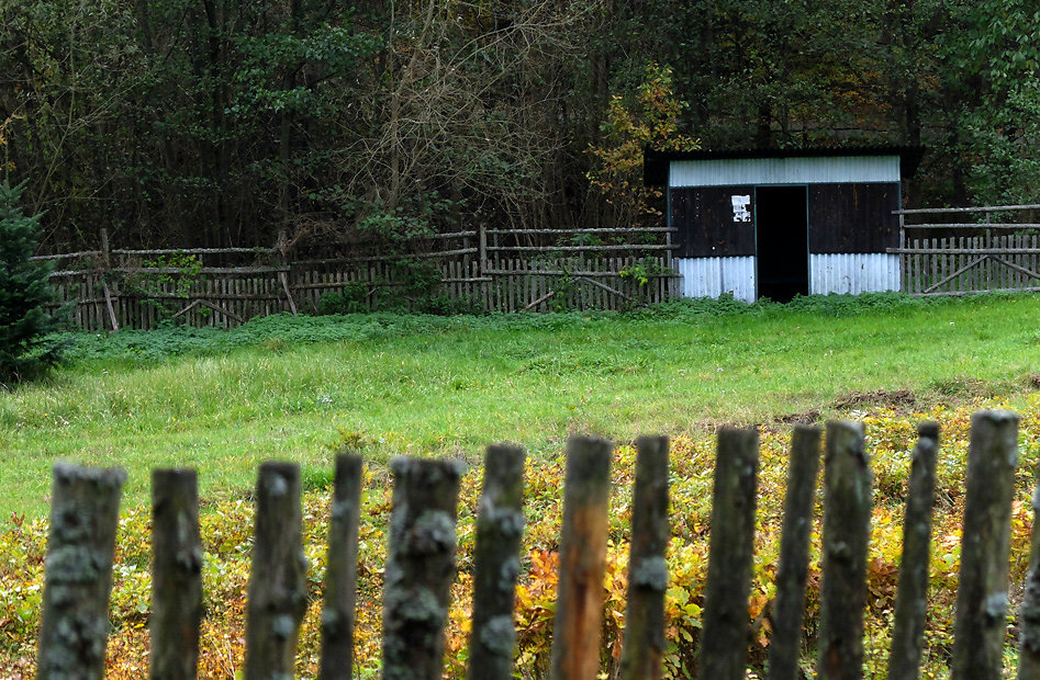 DSCF7415.jpg
