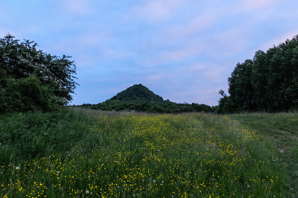 DSCF9459.jpg