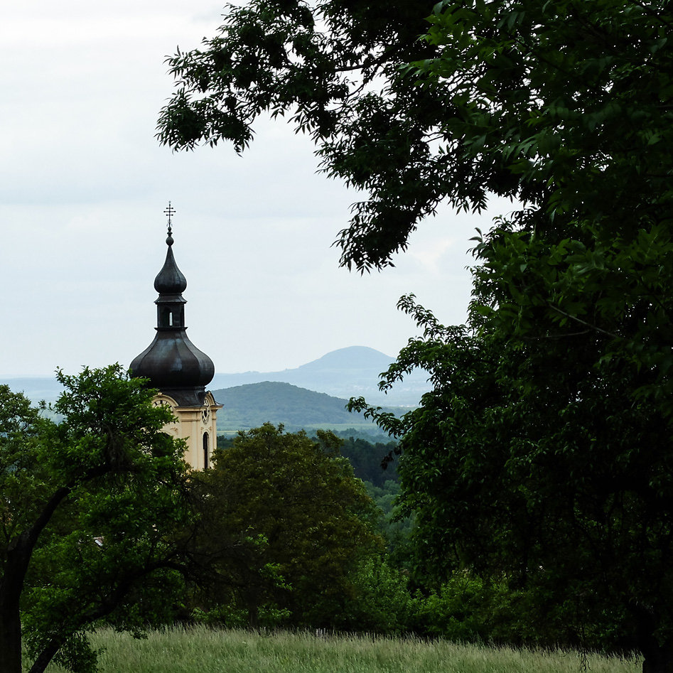 DSCF9643.jpg