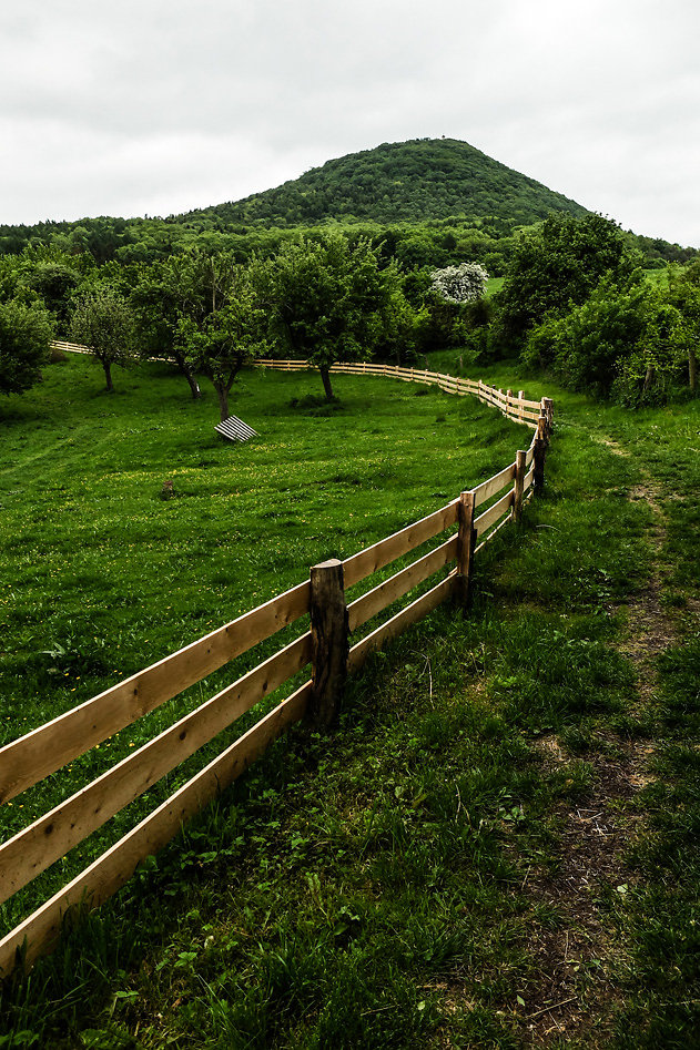 DSCF9666.jpg