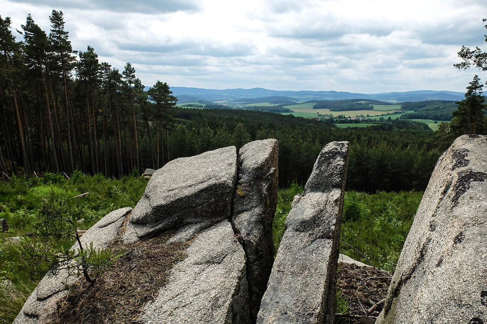 DSCF9917.jpg