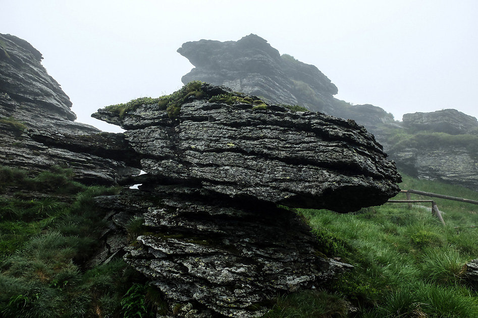 DSCF0379.jpg