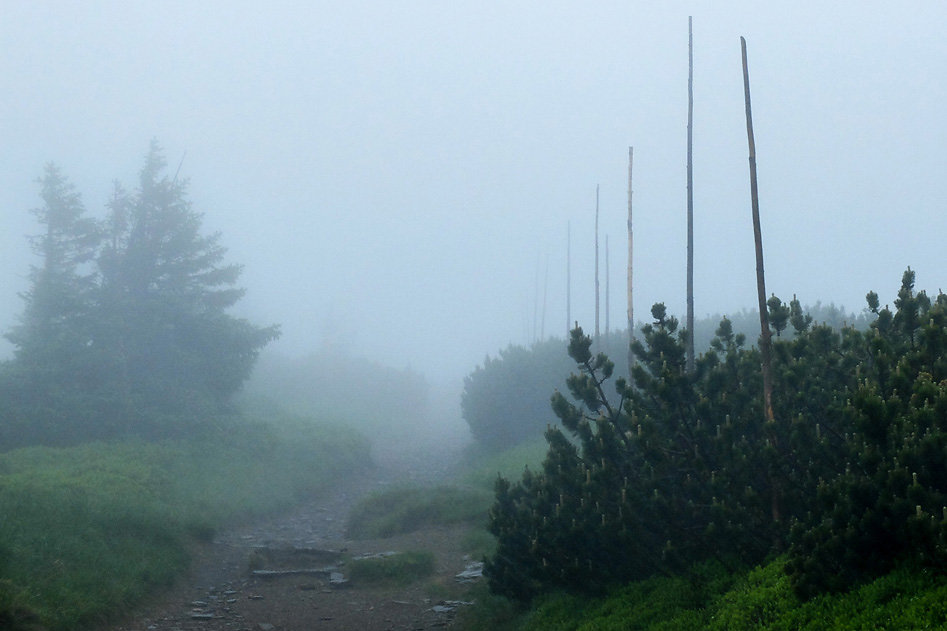 DSCF0394.jpg