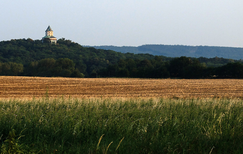 DSCF0636-2.jpg