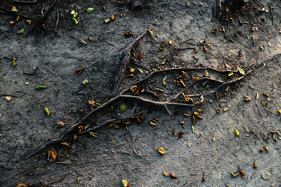 DSCF0734-2.jpg