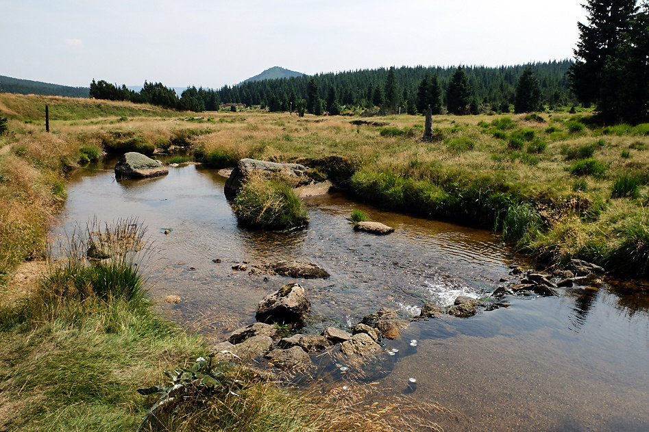 DSCF0830-2.jpg