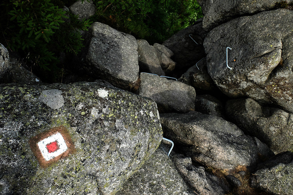 DSCF0880-2.jpg