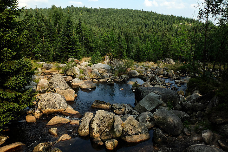 DSCF0934-2.jpg