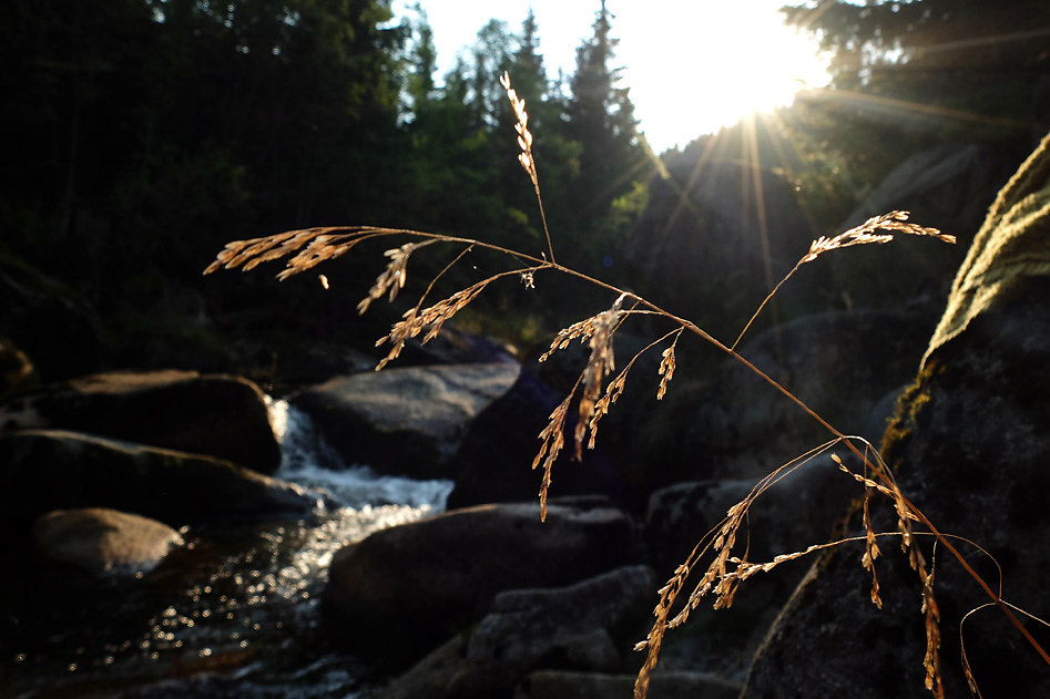 DSCF0947-2.jpg