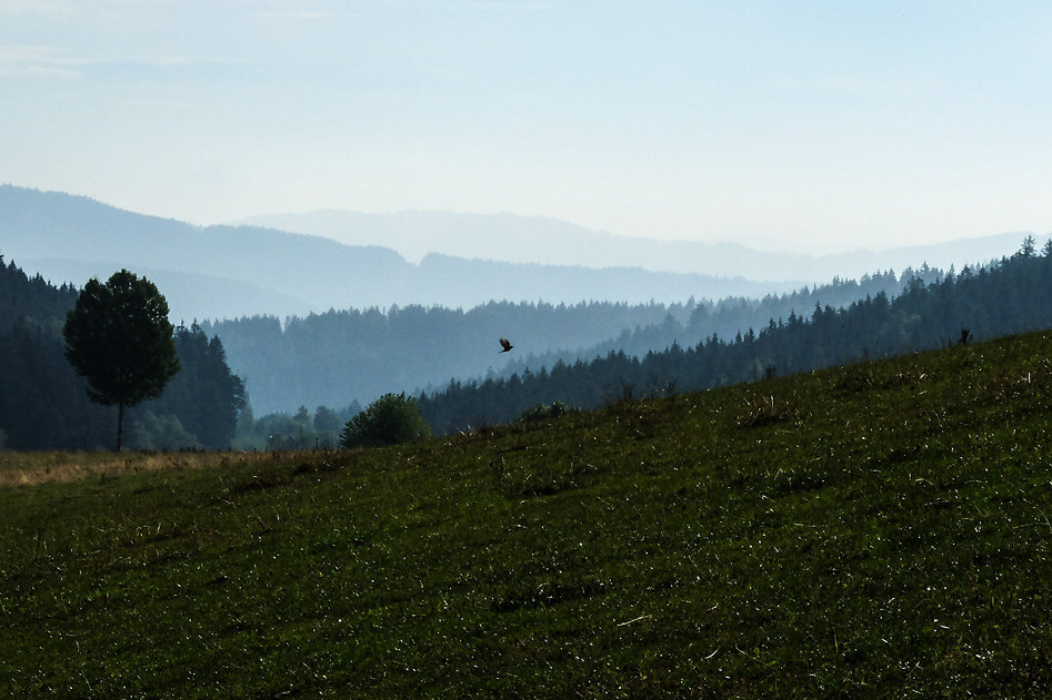 DSCF1167.jpg