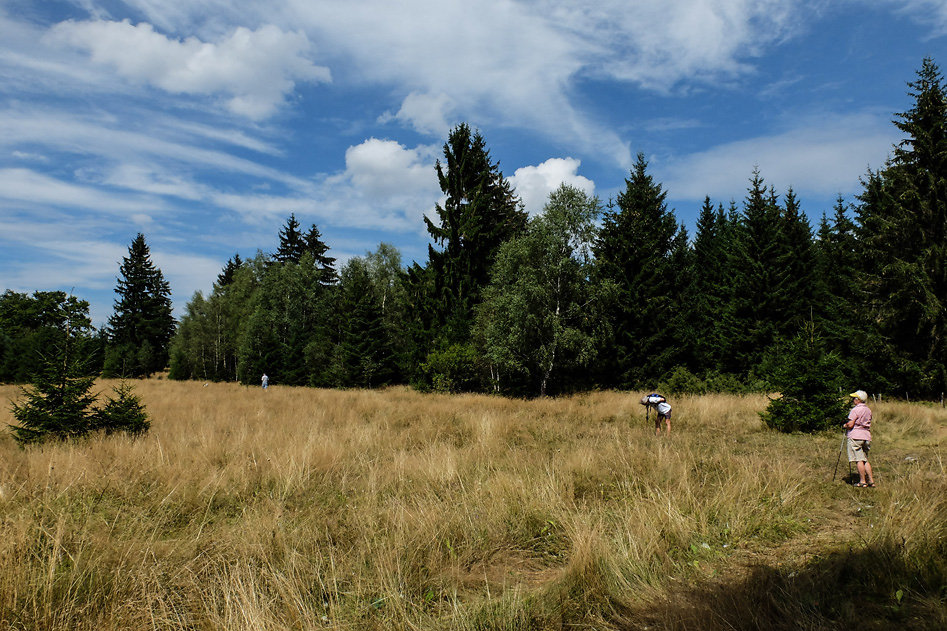 DSCF1200.jpg
