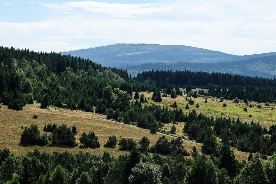 DSCF1222.jpg