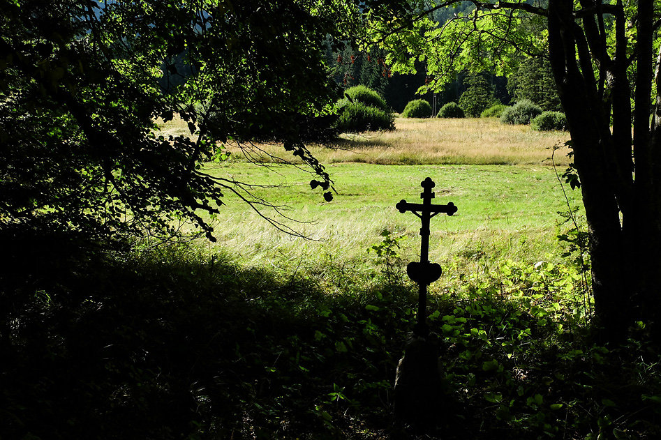 DSCF1242.jpg