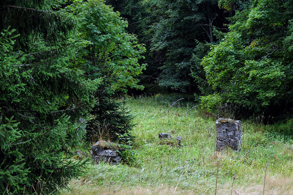DSCF1334.jpg