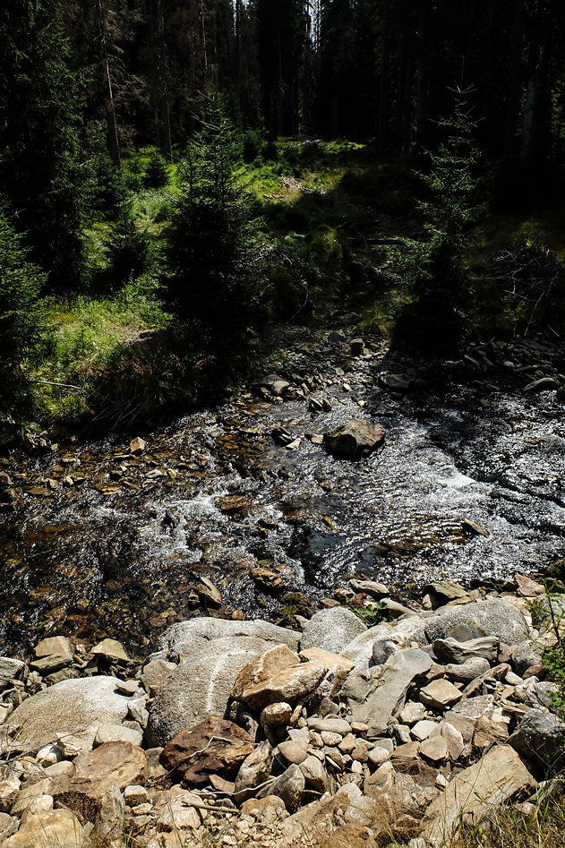 DSCF1354.jpg
