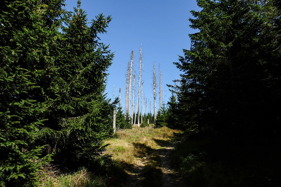 DSCF1364.jpg