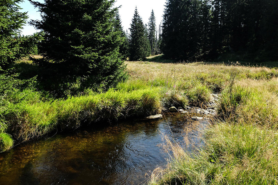 DSCF1455.jpg