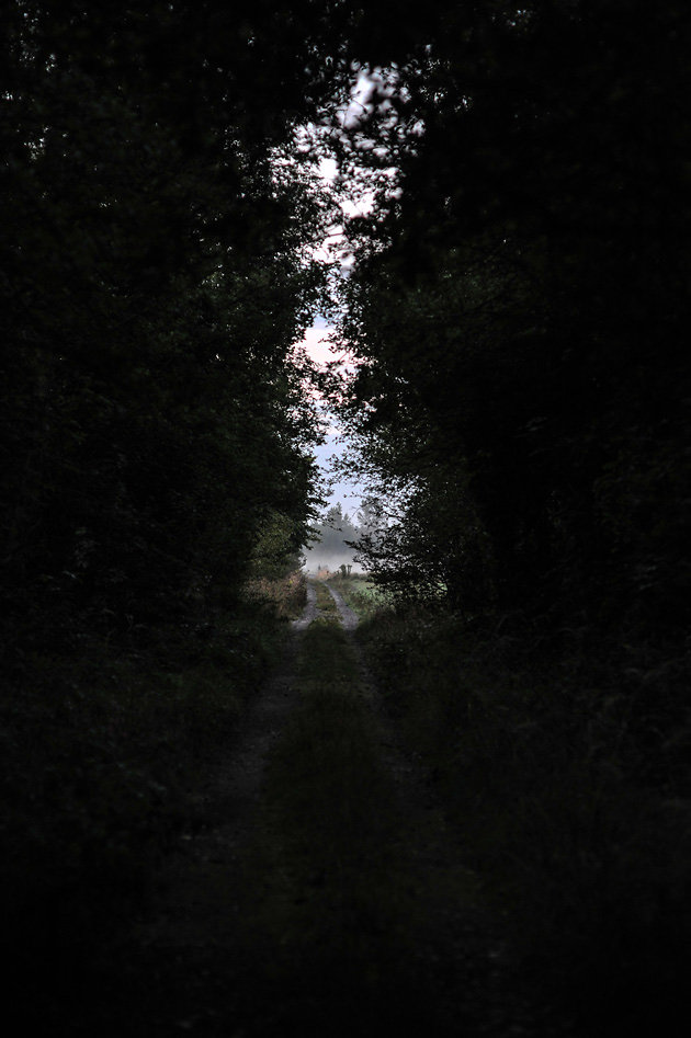 DSC-9497.jpg