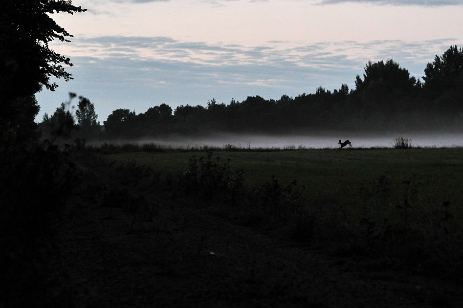 DSC-9510.jpg