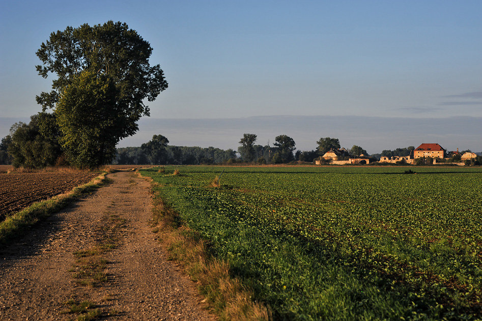 DSC-9564.jpg