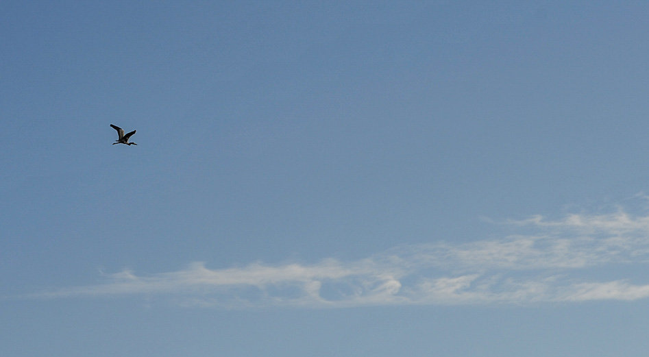 DSC-9580.jpg