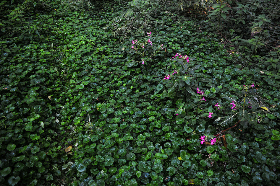 DSC-9624.jpg