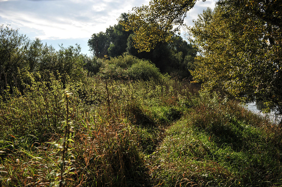 DSC-9723.jpg