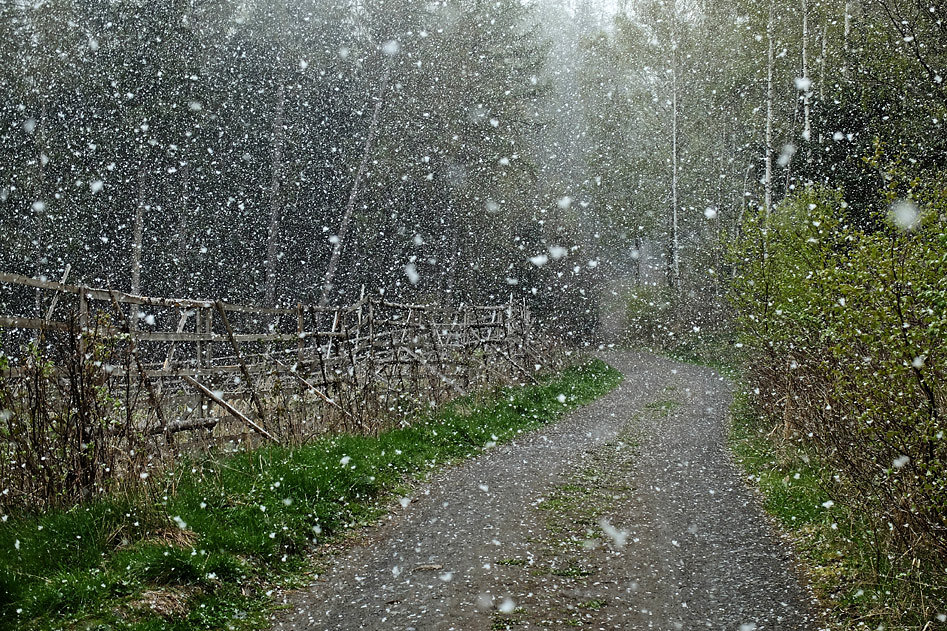 DSCF2514.jpg