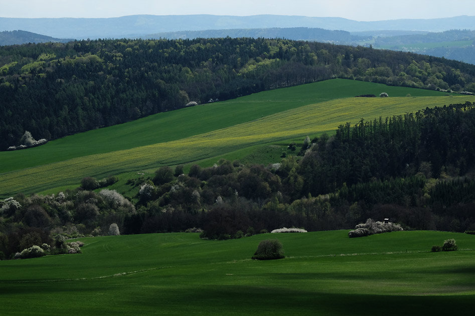 DSCF2525.jpg
