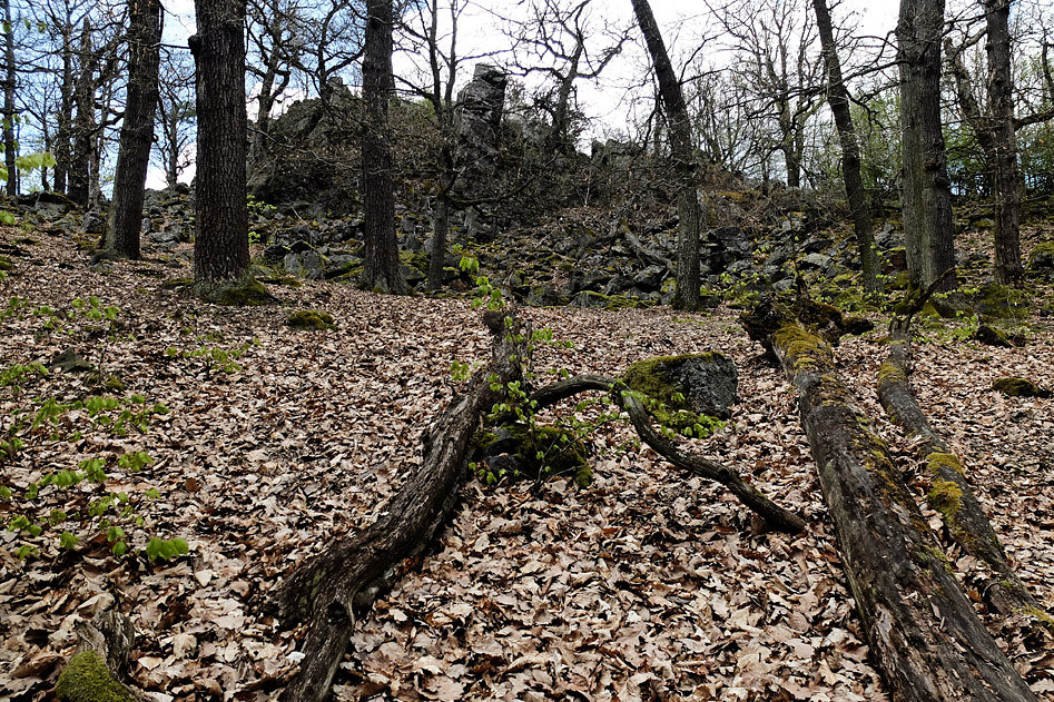 DSCF2528.jpg