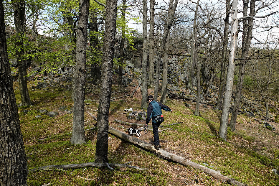 DSCF2536.jpg