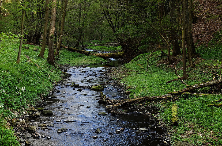 DSCF2557.jpg