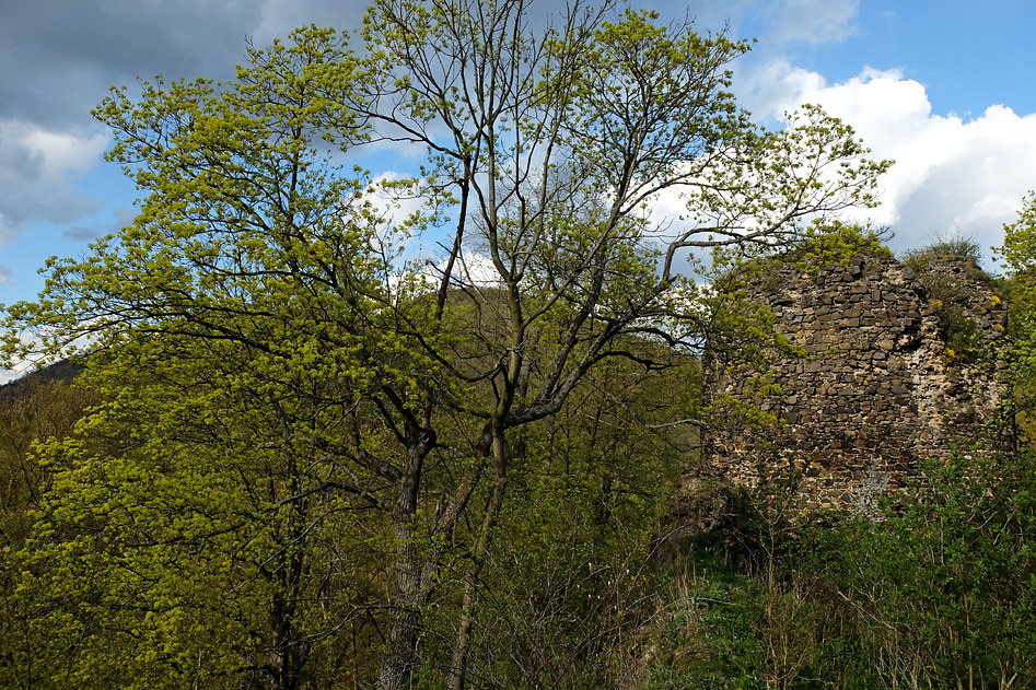 DSCF2564.jpg
