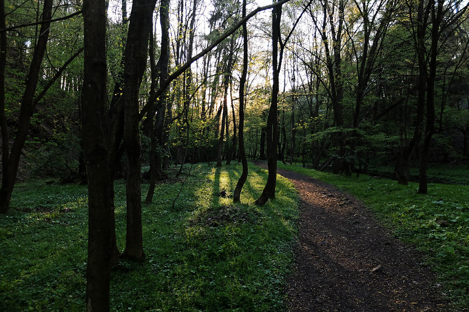 DSCF2568.jpg