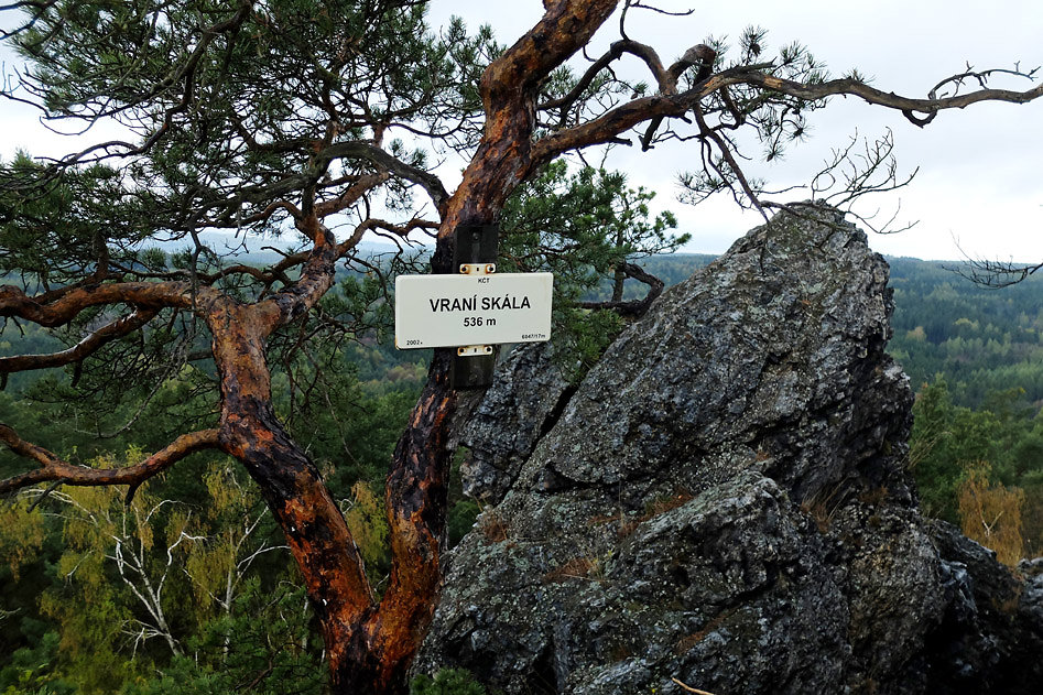 DSCF2581.jpg