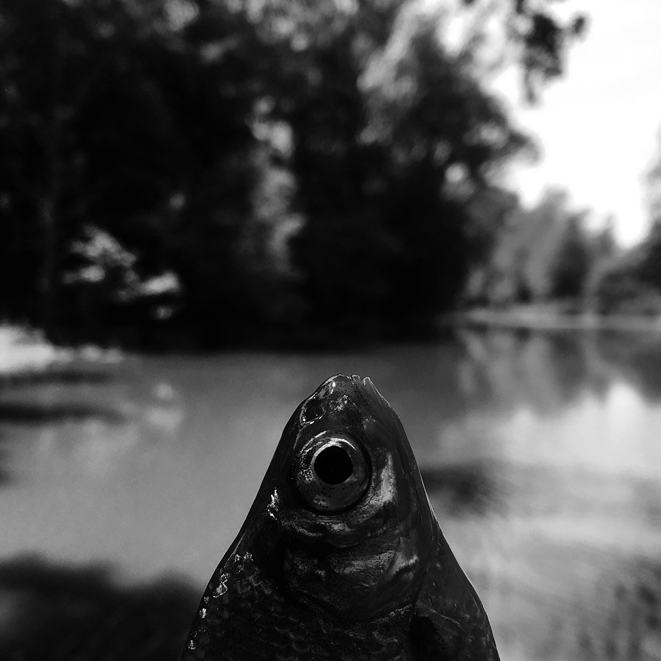 2016-05-22-114005-1bw.jpg