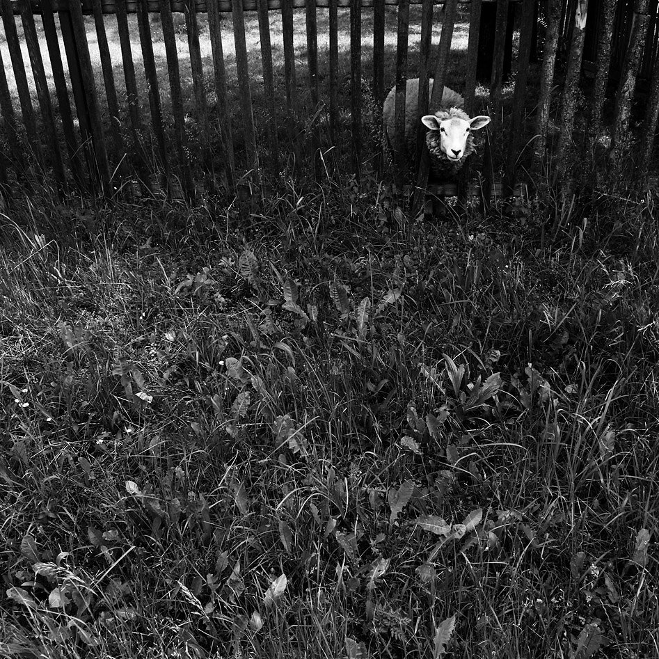 2016-06-04-122138-1bw.jpg