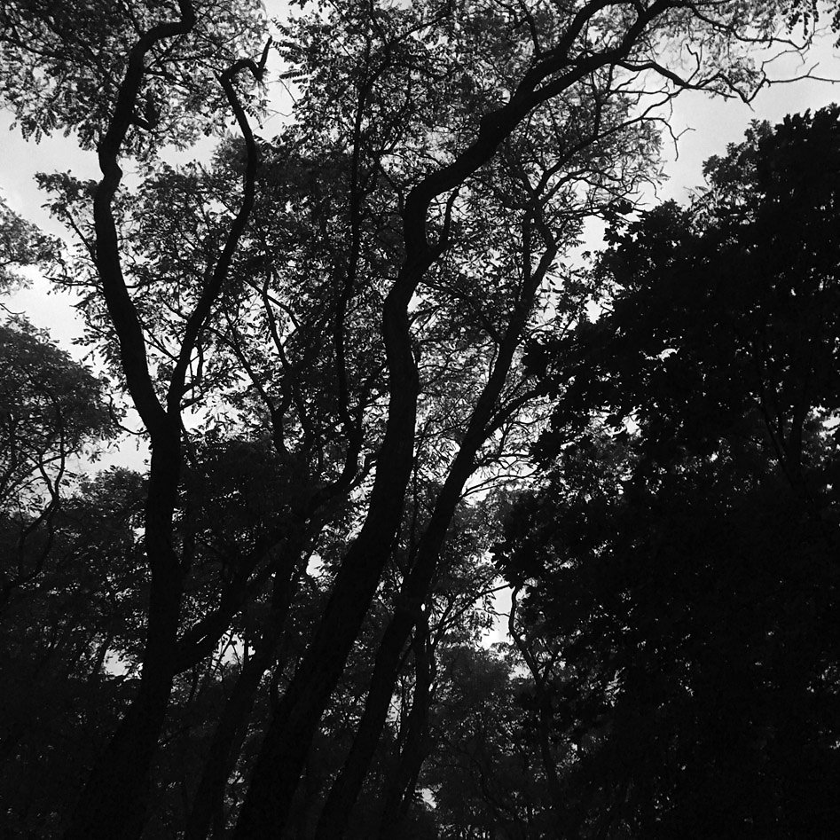2016-10-23-071849bw.jpg