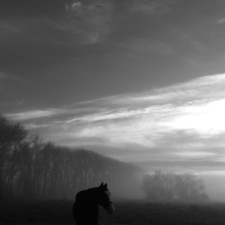 2016-11-20-081541-3bw.jpg