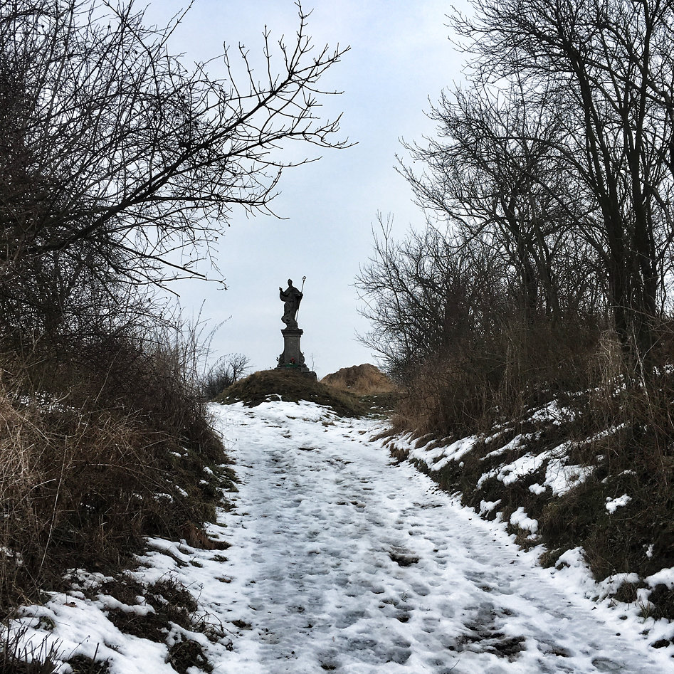2017-02-10-143635-2.jpg