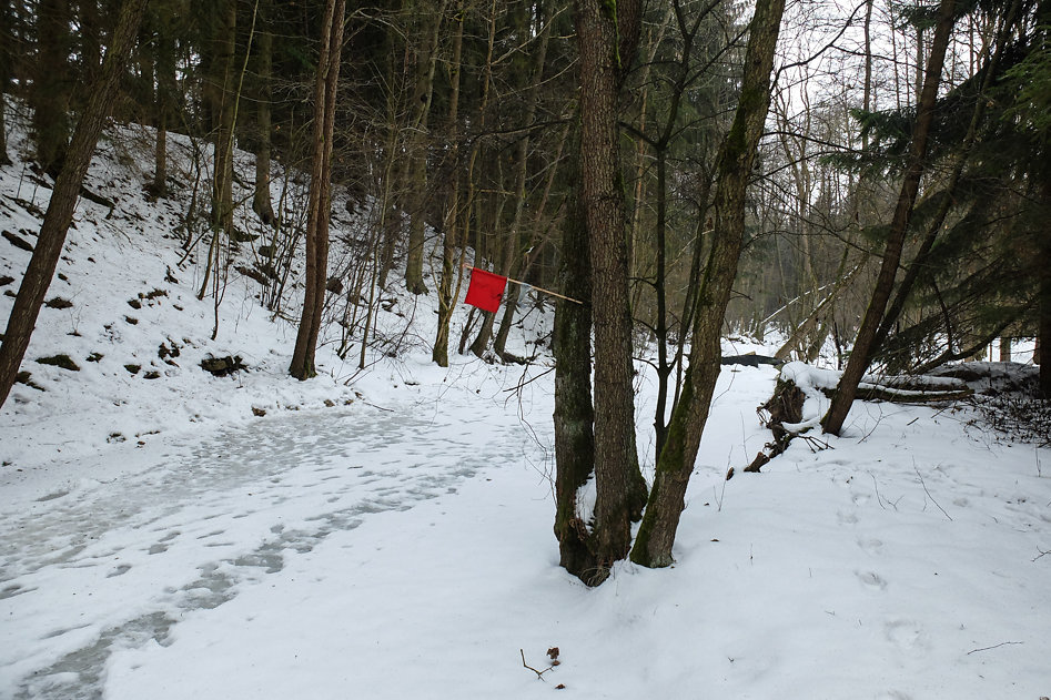 DSCF4238.jpg