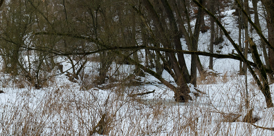 DSCF4246.jpg
