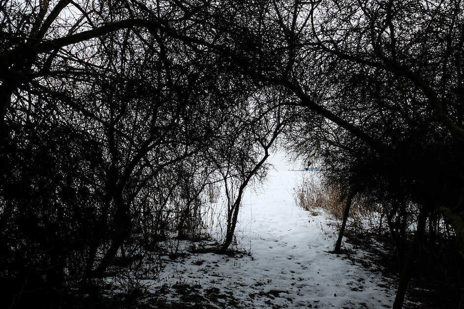 DSCF4263.jpg