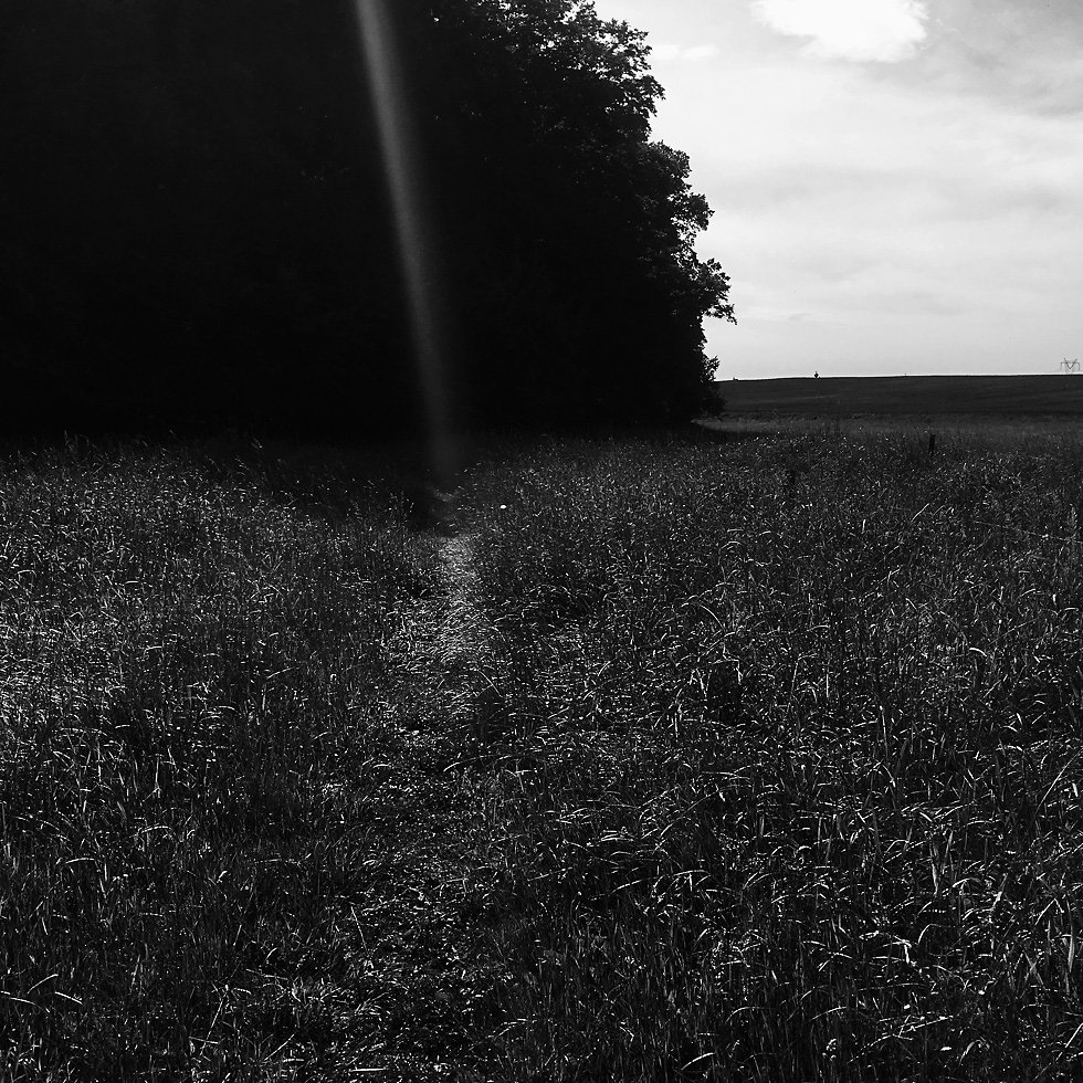 2017-06-09-164217-2.jpg