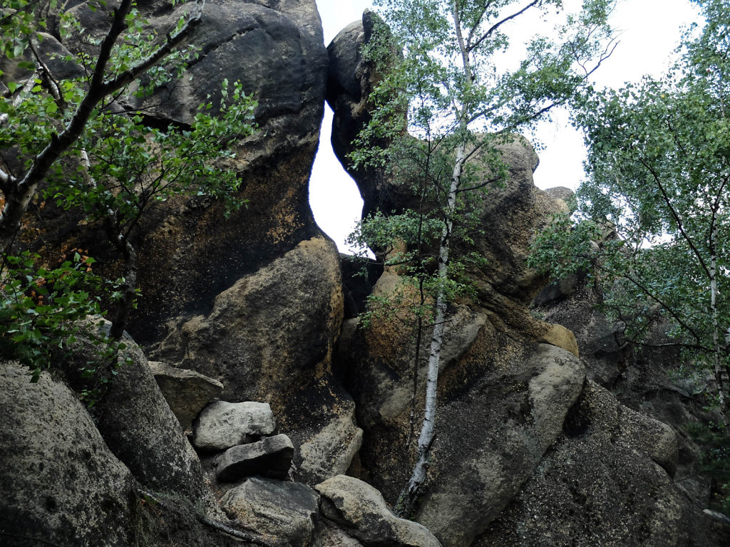 DSCF6104.jpg