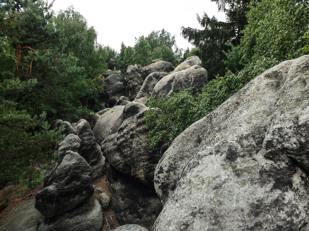 DSCF6105.jpg