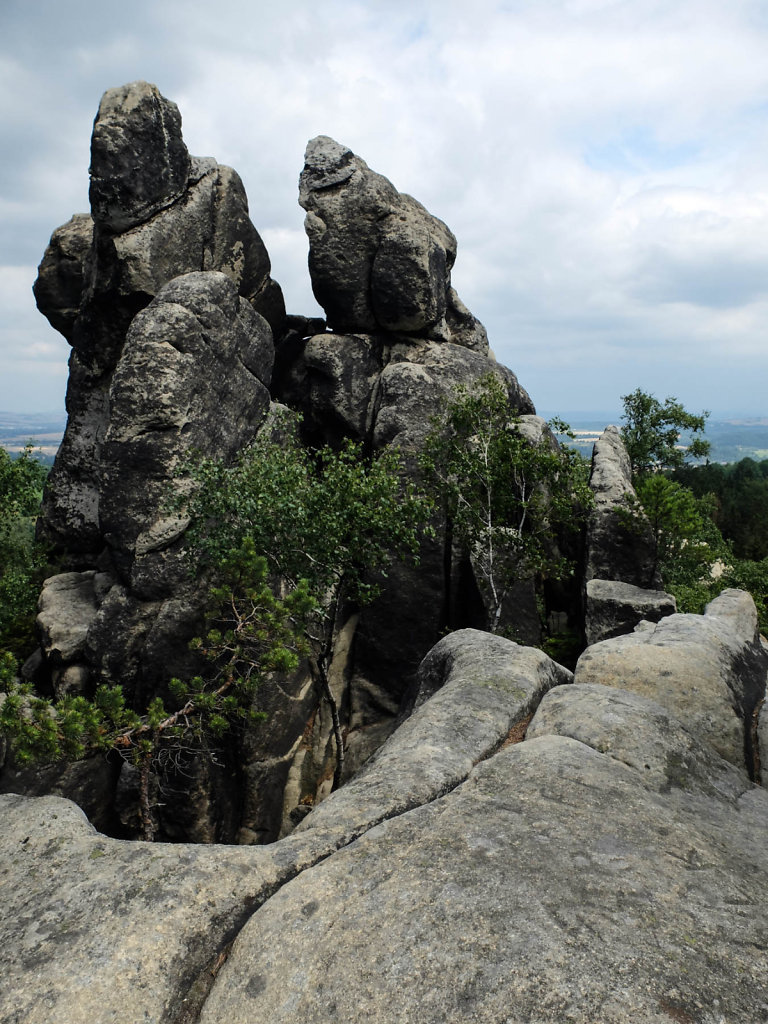 DSCF6110.jpg