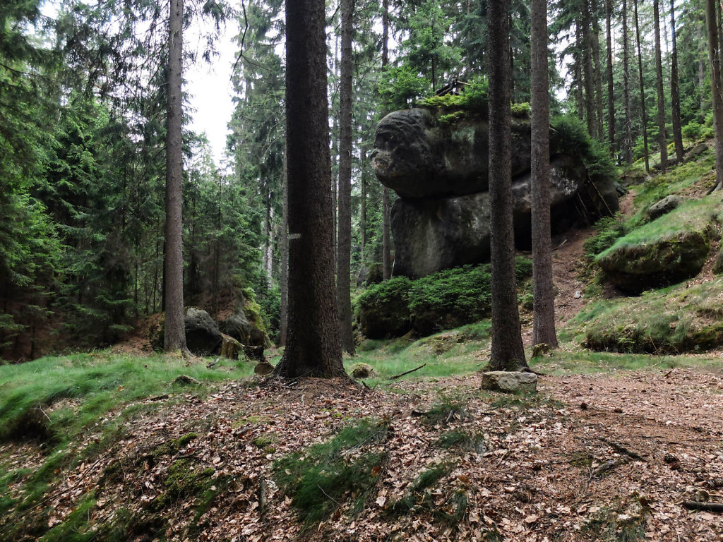 DSCF6116.jpg