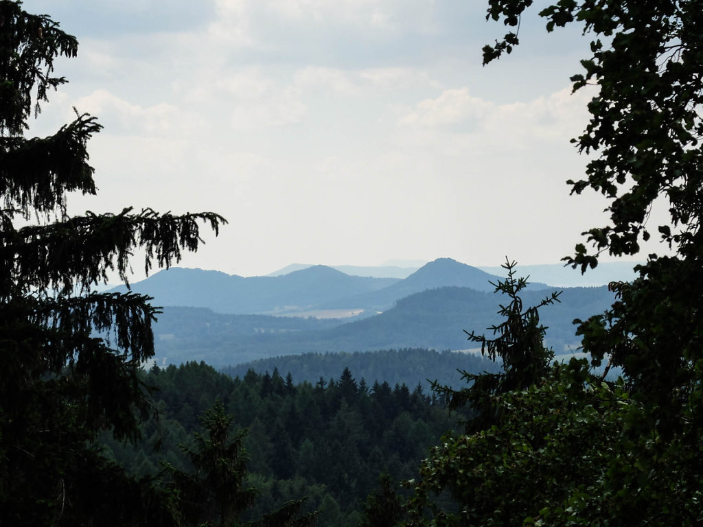 DSCF6119.jpg